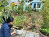 TRƯỜNG MẦM NON NAM THANH TÍCH CỰC TRONG CÔNG TÁC LAO ĐỘNG VỆ SINH TRANG TRÍ TRƯỜNG LỚP CHUẨN BỊ CHO NĂM HỌC MỚI