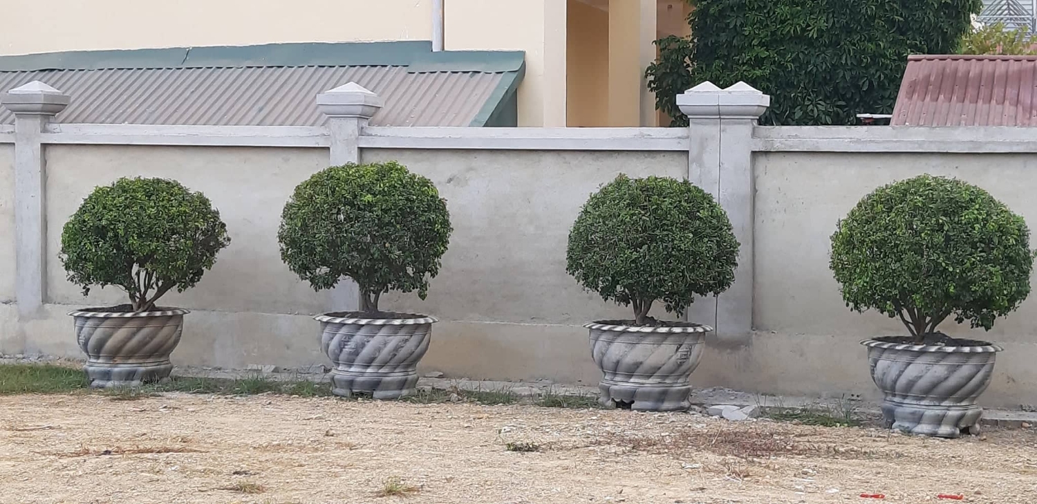 78904304 445980442731218 8151042814713528320 n