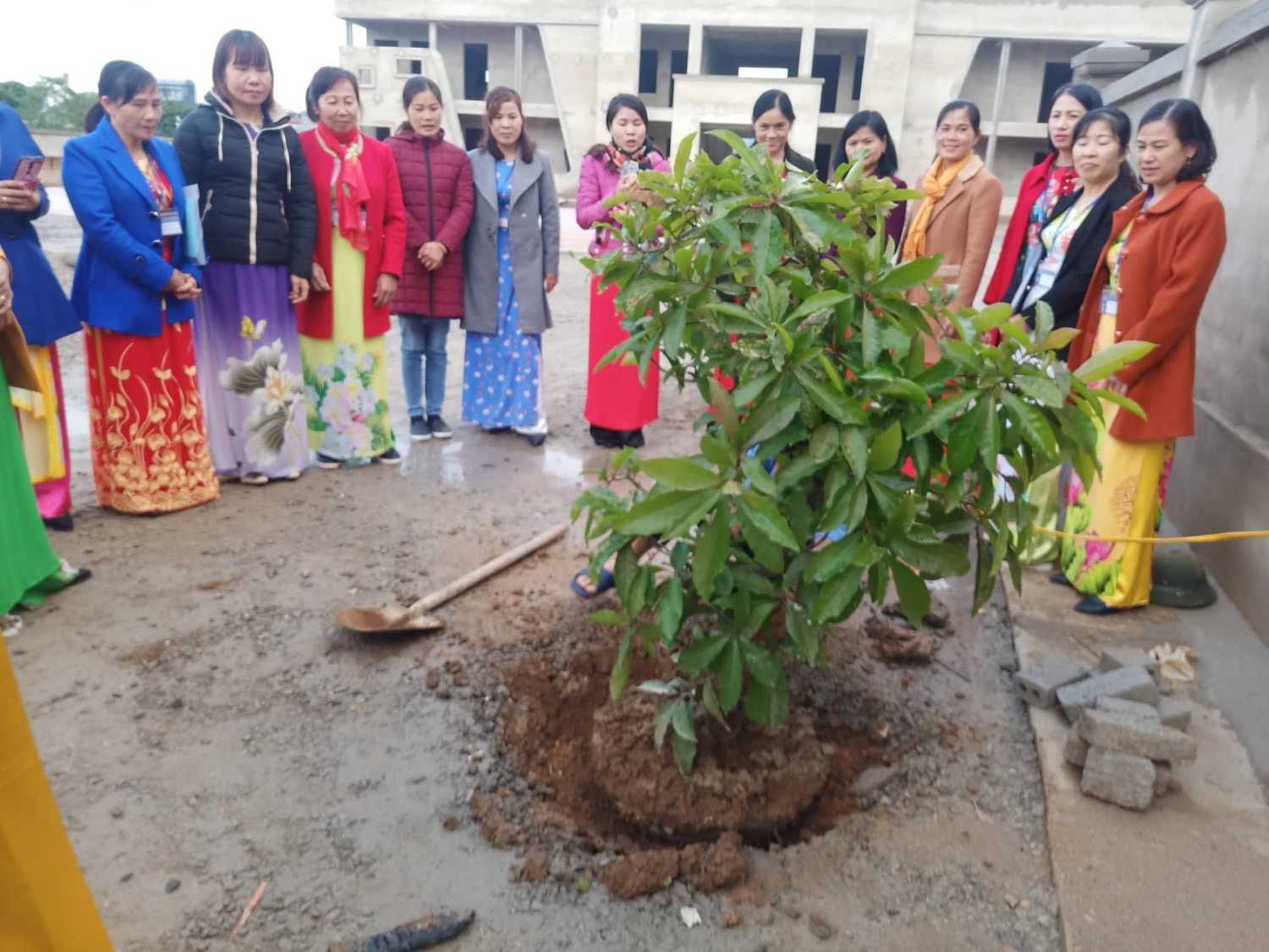 80969453 599527207280904 4879059509403713536 n