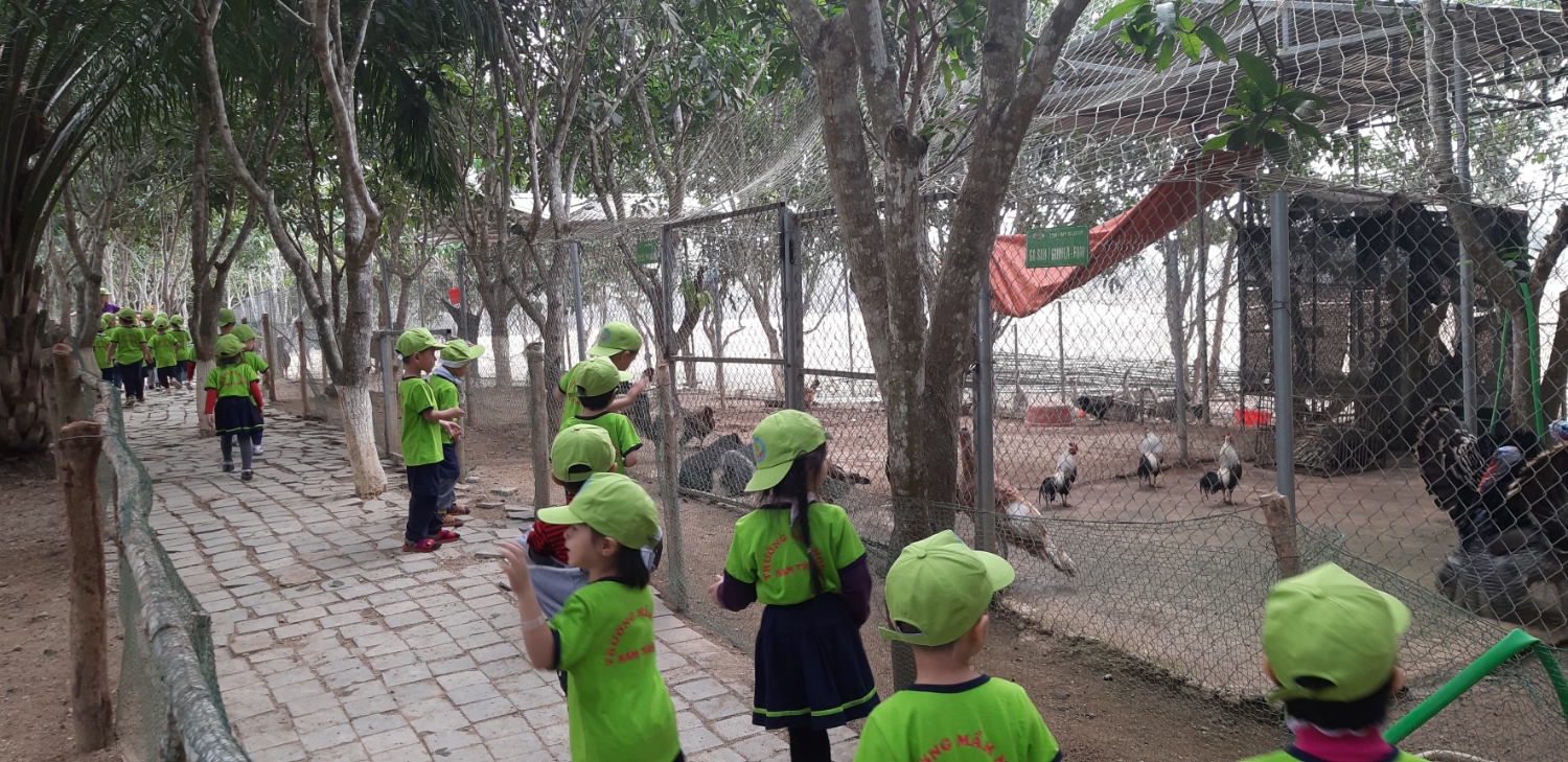 81665284 886298908451227 4527153872266854400 n