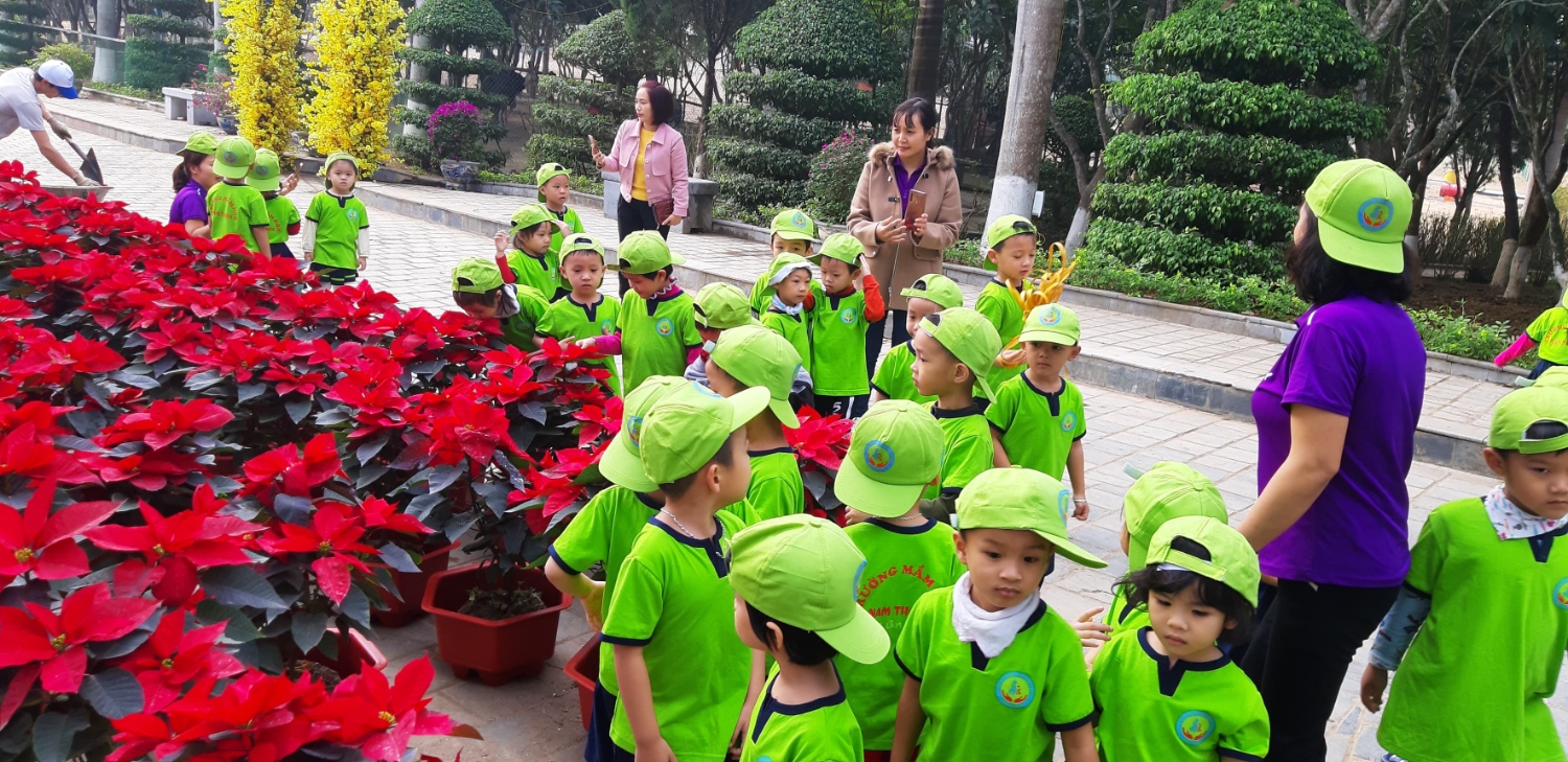 82165136 1213273265538983 3484269717546336256 n