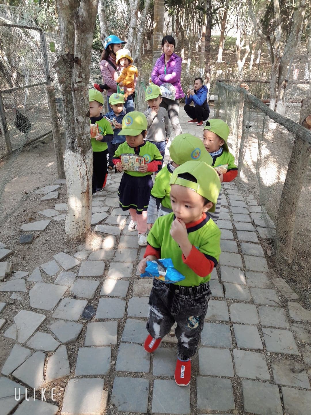 82288128 3445313065542205 4313352972957384704 n