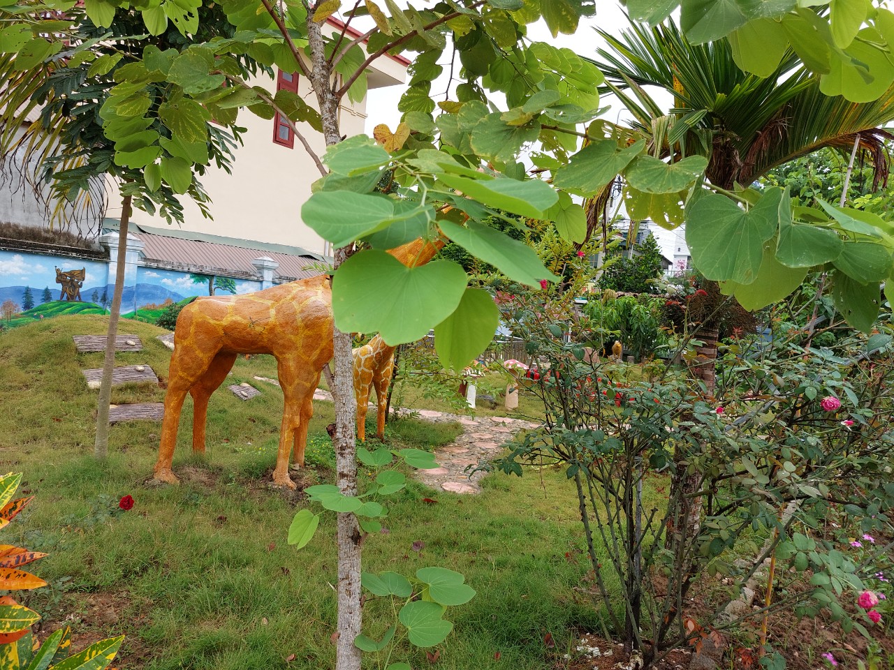 z2773808021377 f203c8f6698b05d9f815dffa7e1b6baa