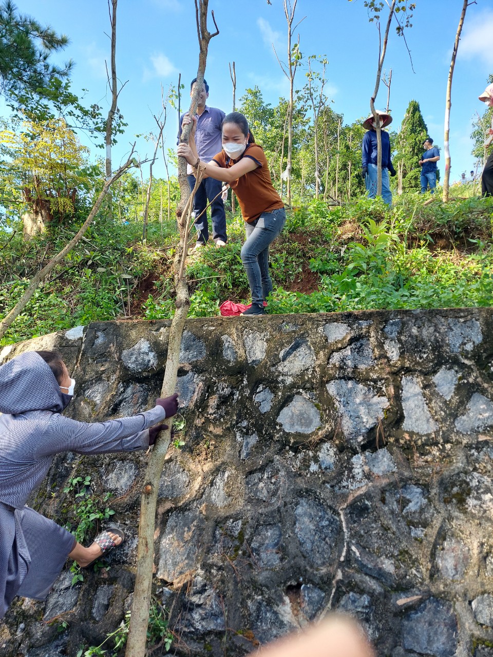 z3653426958870 00694ca6248f20b7d22479e2f7733db9