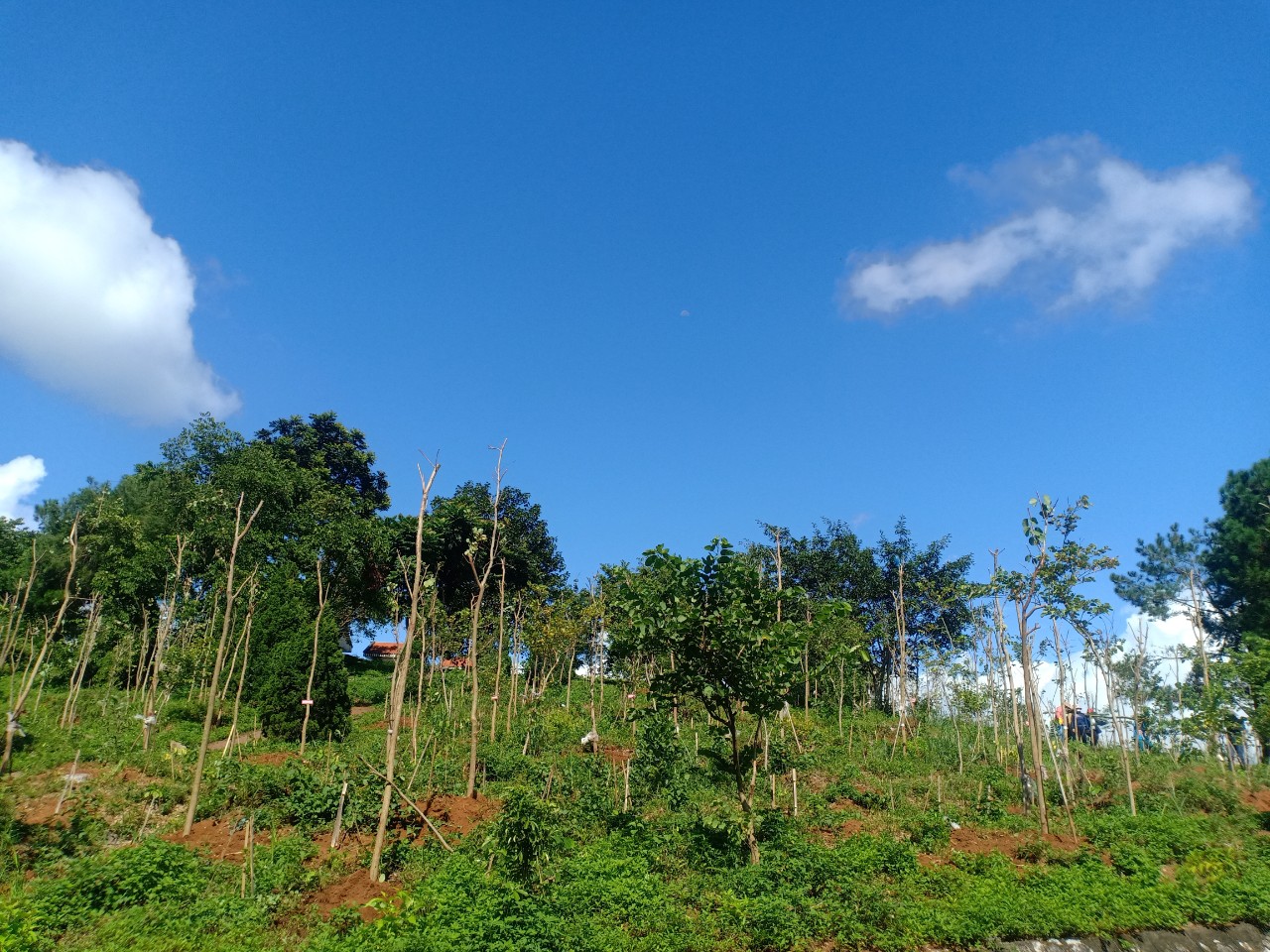 z3653429220824 e11b8d1f5492f368c90f76f5a3aefc76