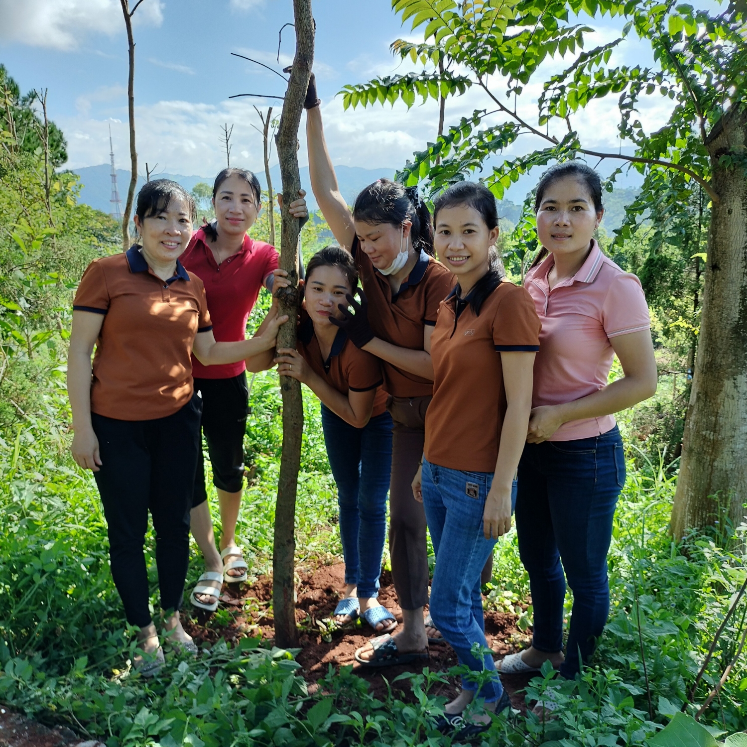 z3653434646539 3050832ad0d2d196a4d9e185f991d677