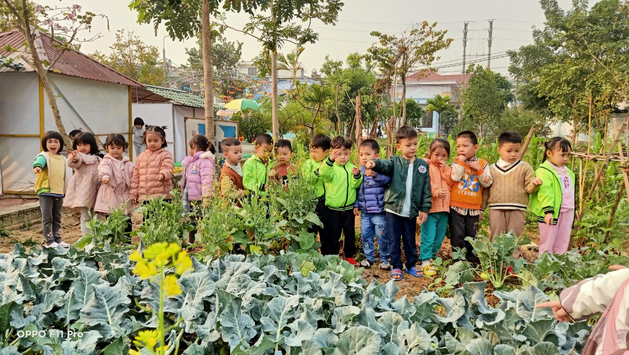 z4107912101943 208e1528df46a5579d0933cbb2417d42