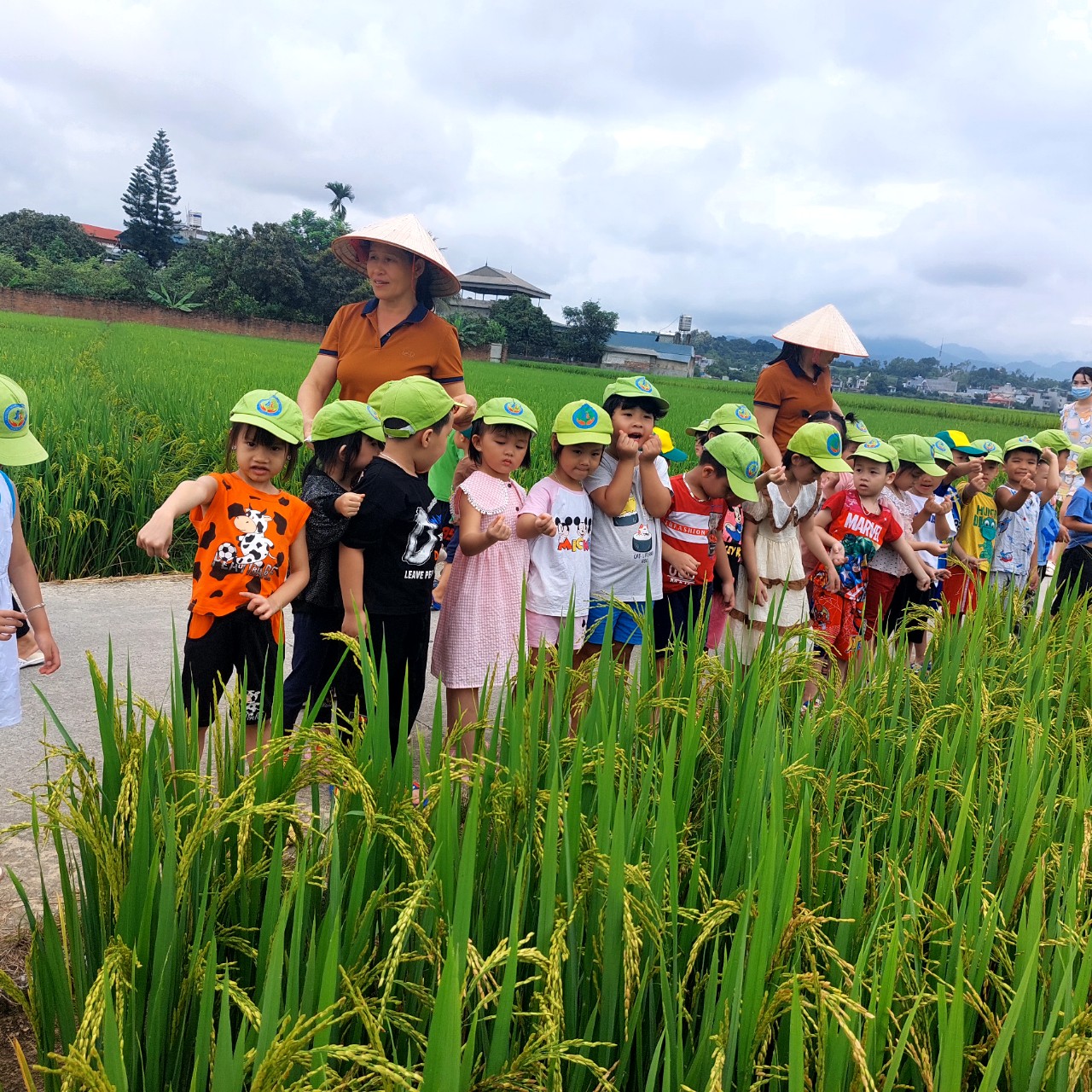 z4691808957168 561adf7b8ebb06774e39347f64673f4f (1)