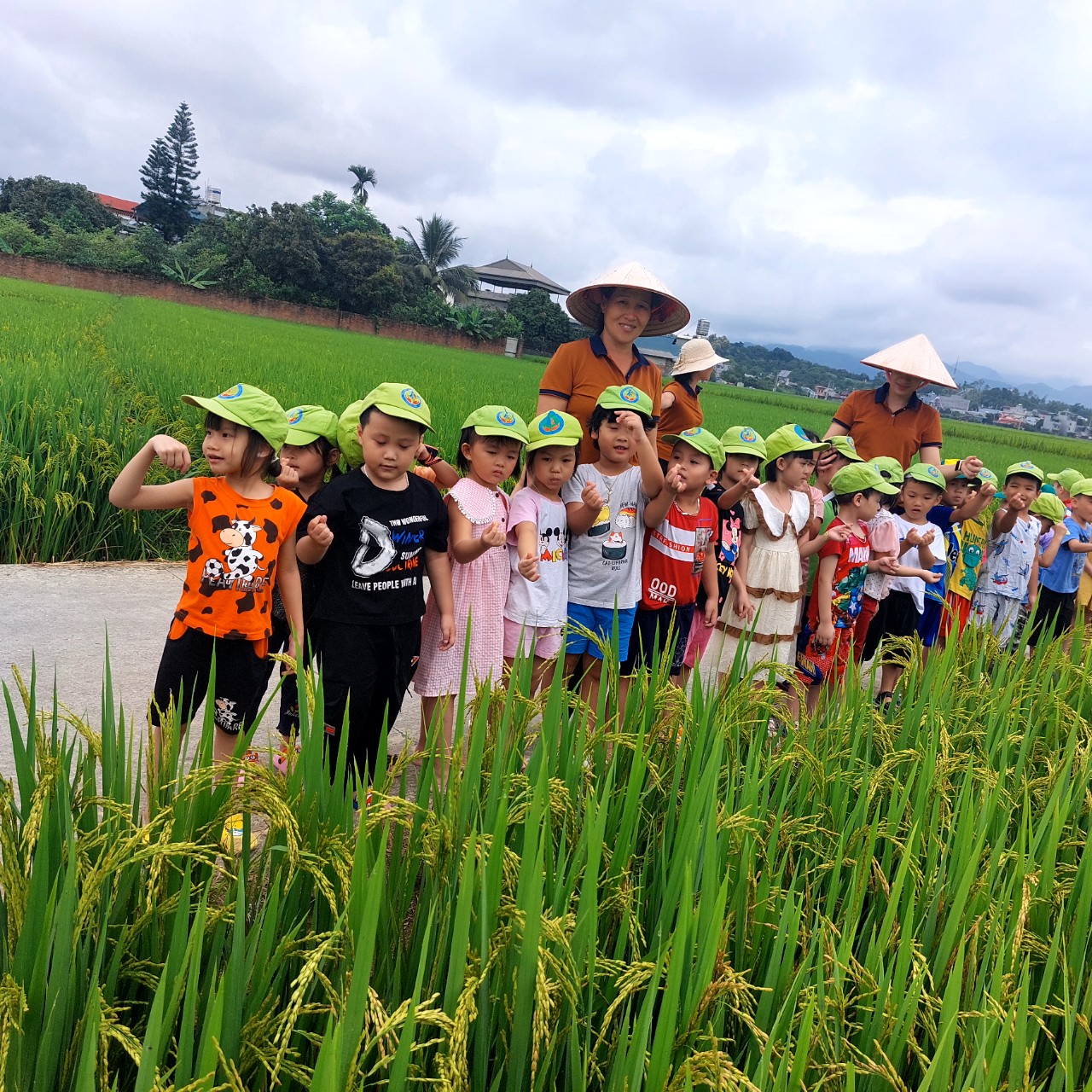 z4691808966899 de6aa1e2e819997c98cb7786c9897dcc