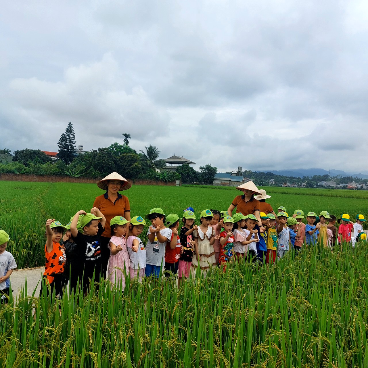 z4691808971107 3872a3b387fa2cc8b23649a3db971c68 (1)