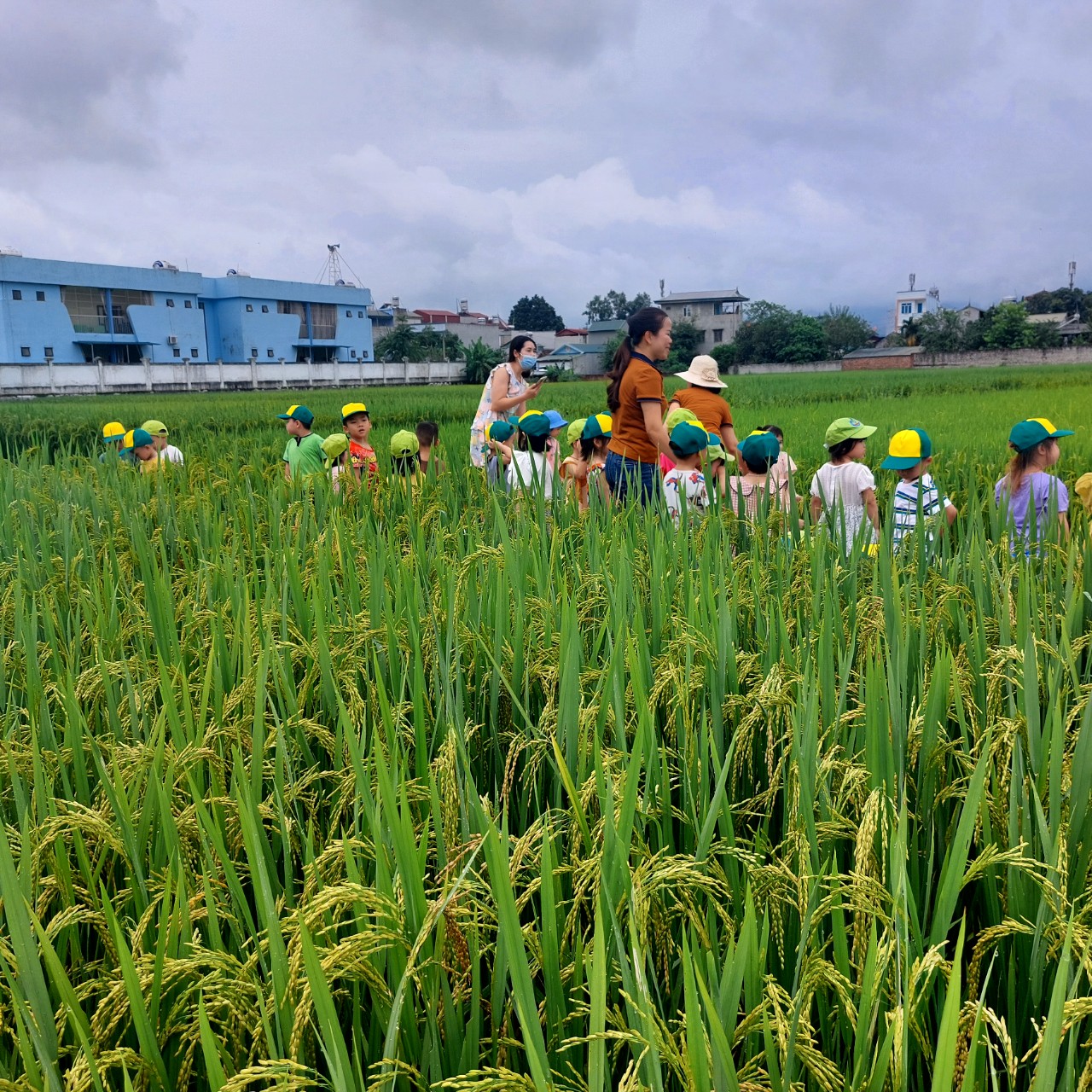 z4691808993251 b9ba4cfa93c2ecba652d957b78cf7523 (1)