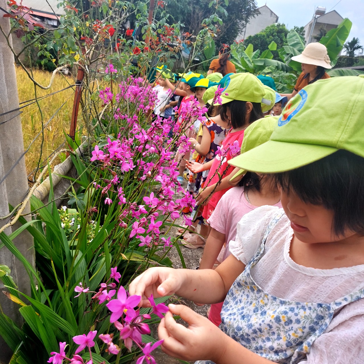 z4691809022136 f6d09ff9e1d3e1b61e37950f98b74693 (1)