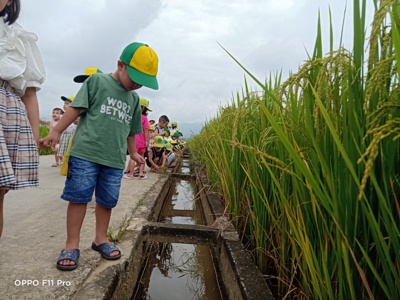 z4692213473145 49cb439984a9fd8fbfc2d3dbd6ae8955