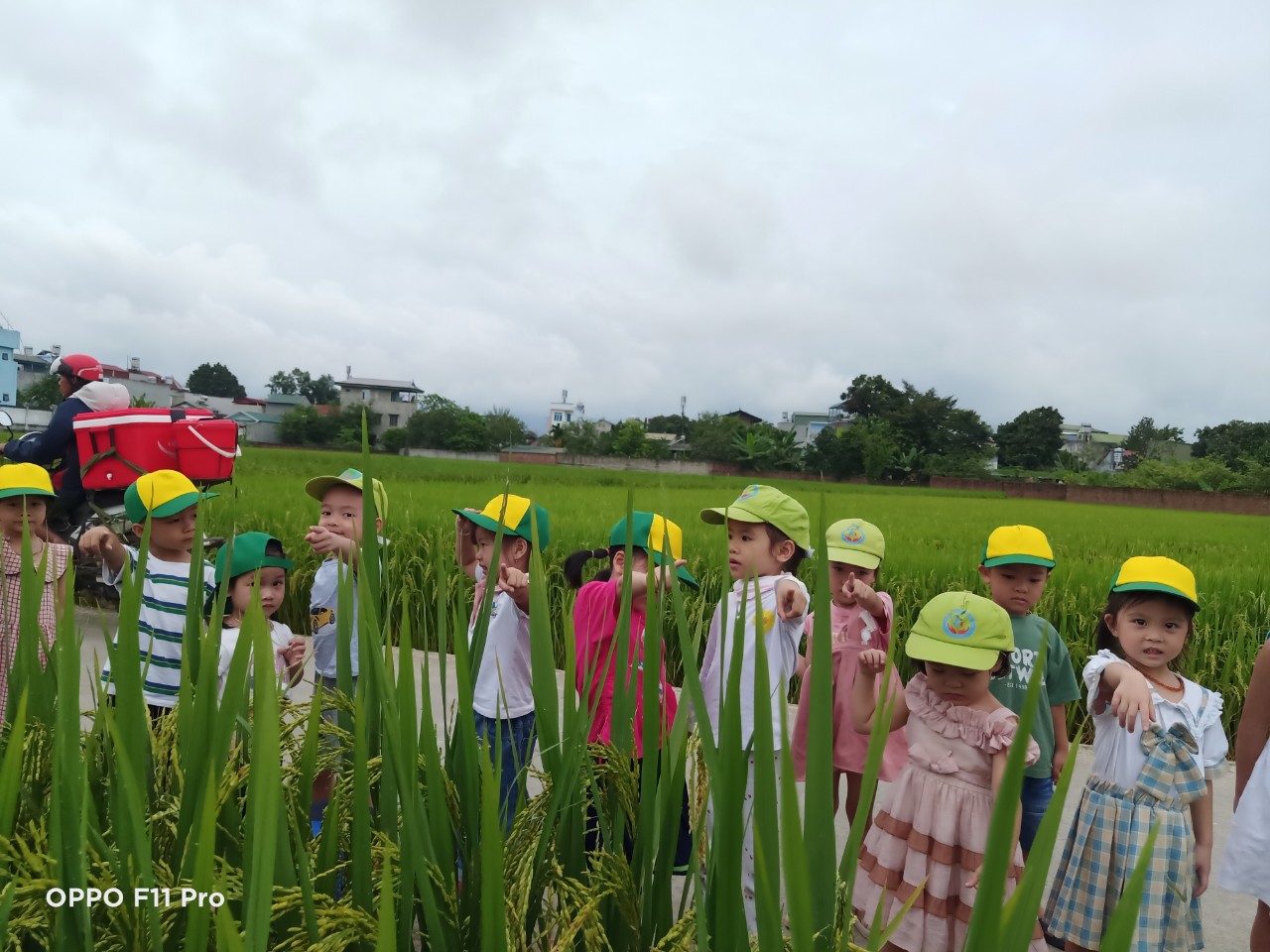 z4692213474237 55346ef0c24ea41d3840cc7146487a8e