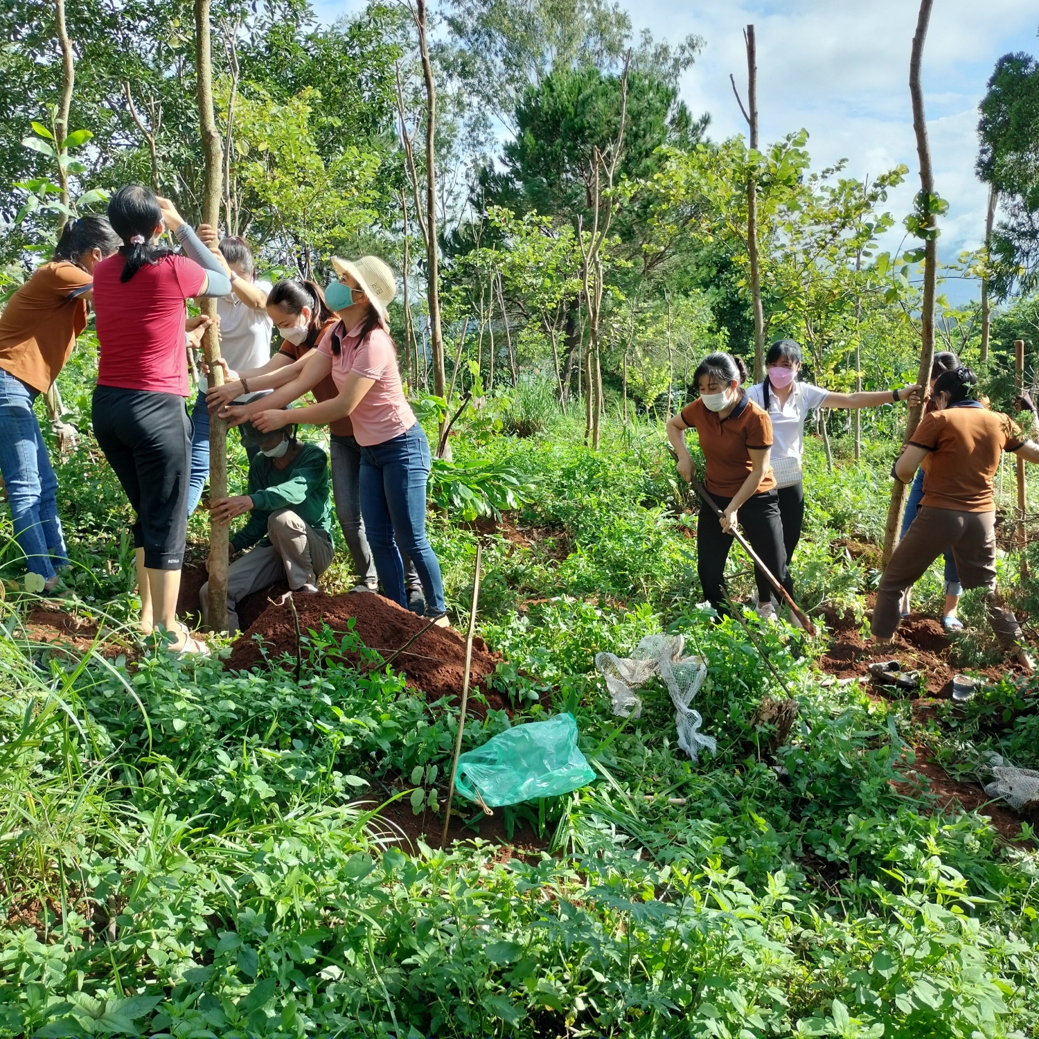 ĐOÀN THANH NIÊN TRƯỜNG MẦM NON NAM THANH  TÍCH CỰC THAM GIA TRỒNG CÂY HOA BAN KHU DI TÍCH ĐỒI D1